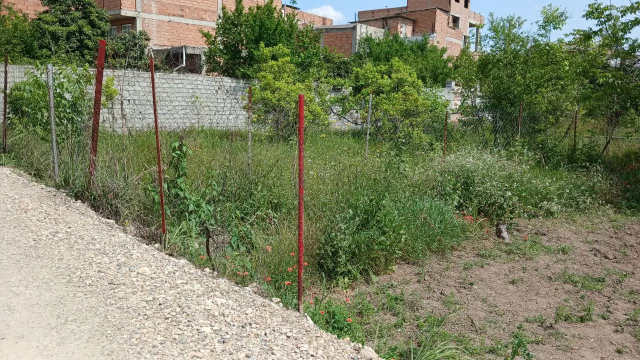 زمین مسکونی در مهدشت