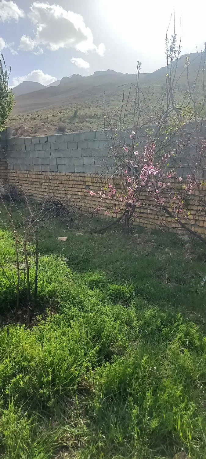 زمین ویلایی واقع در روستای  داریاب کوچه لاله ۱۲
