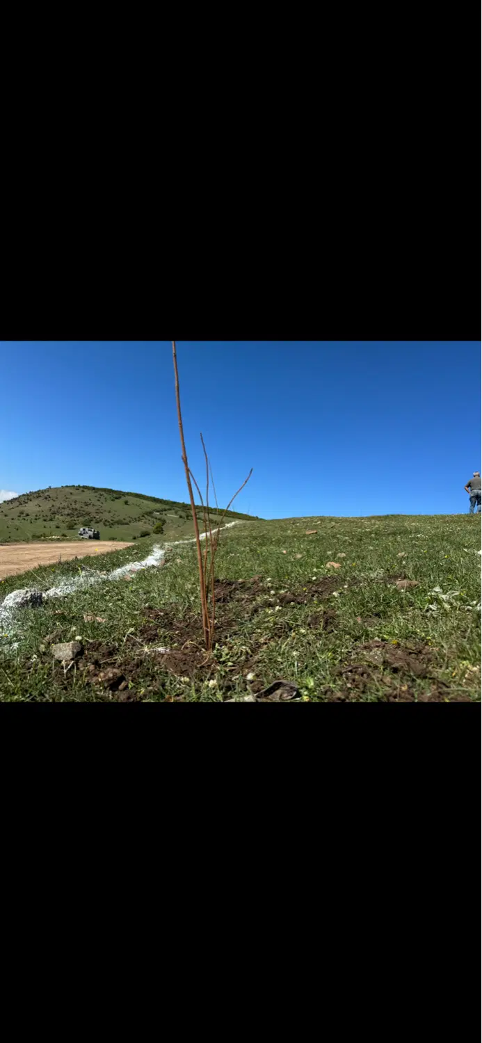 زمین کلاردشت روستای کلمه