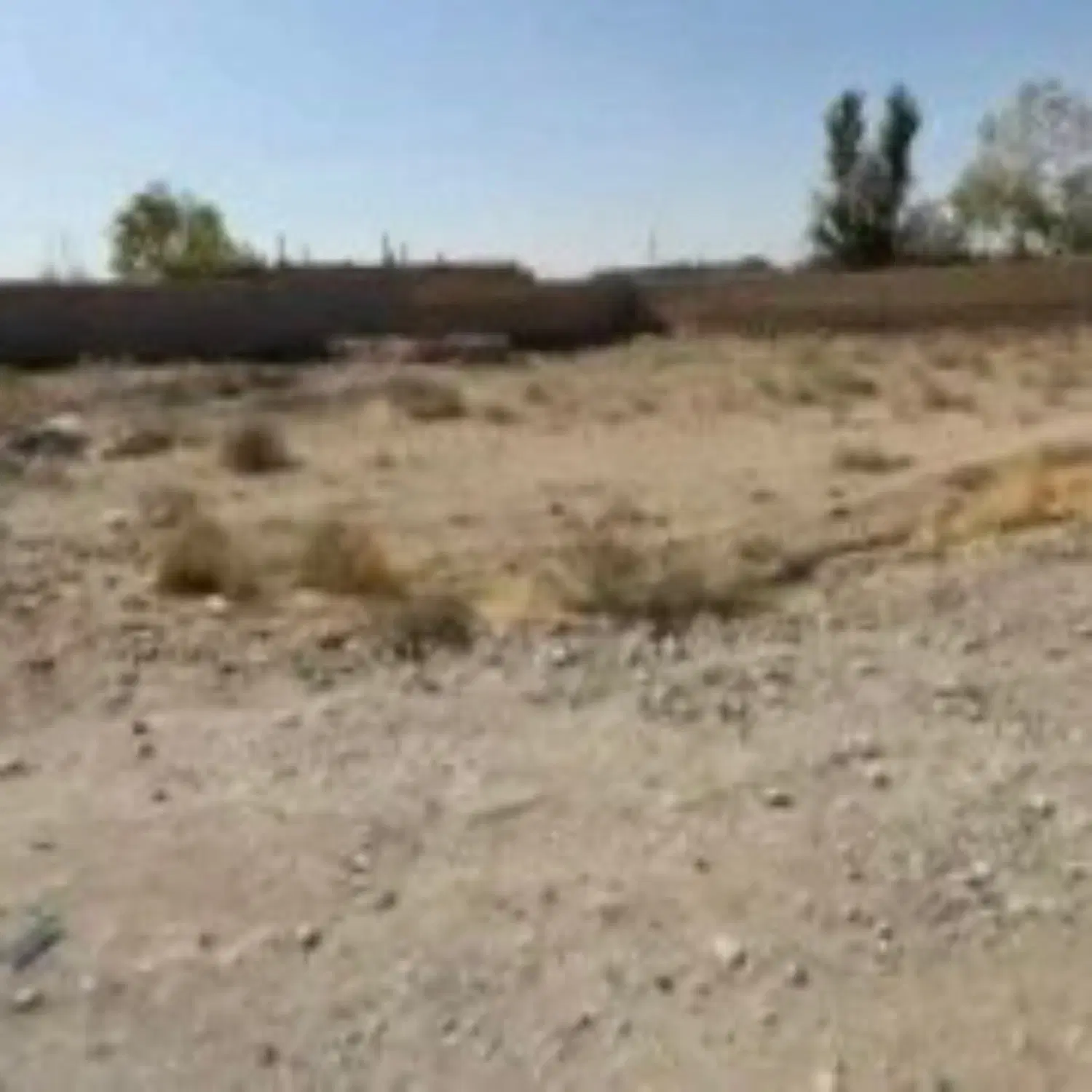 زمین در روستای جمرک