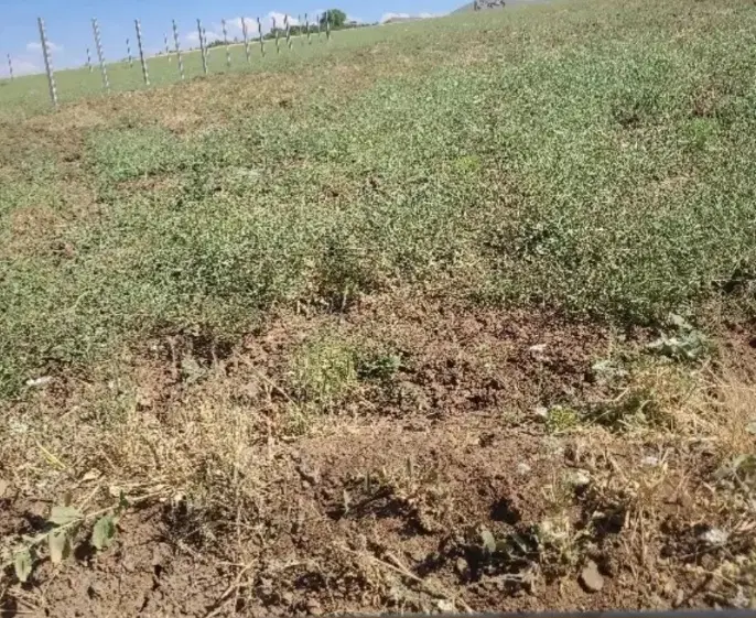 فروش زمین خانه باغ