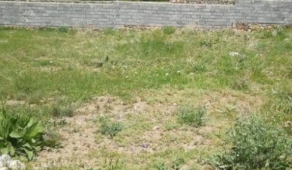 زمین روستای اسلام آباد جلین