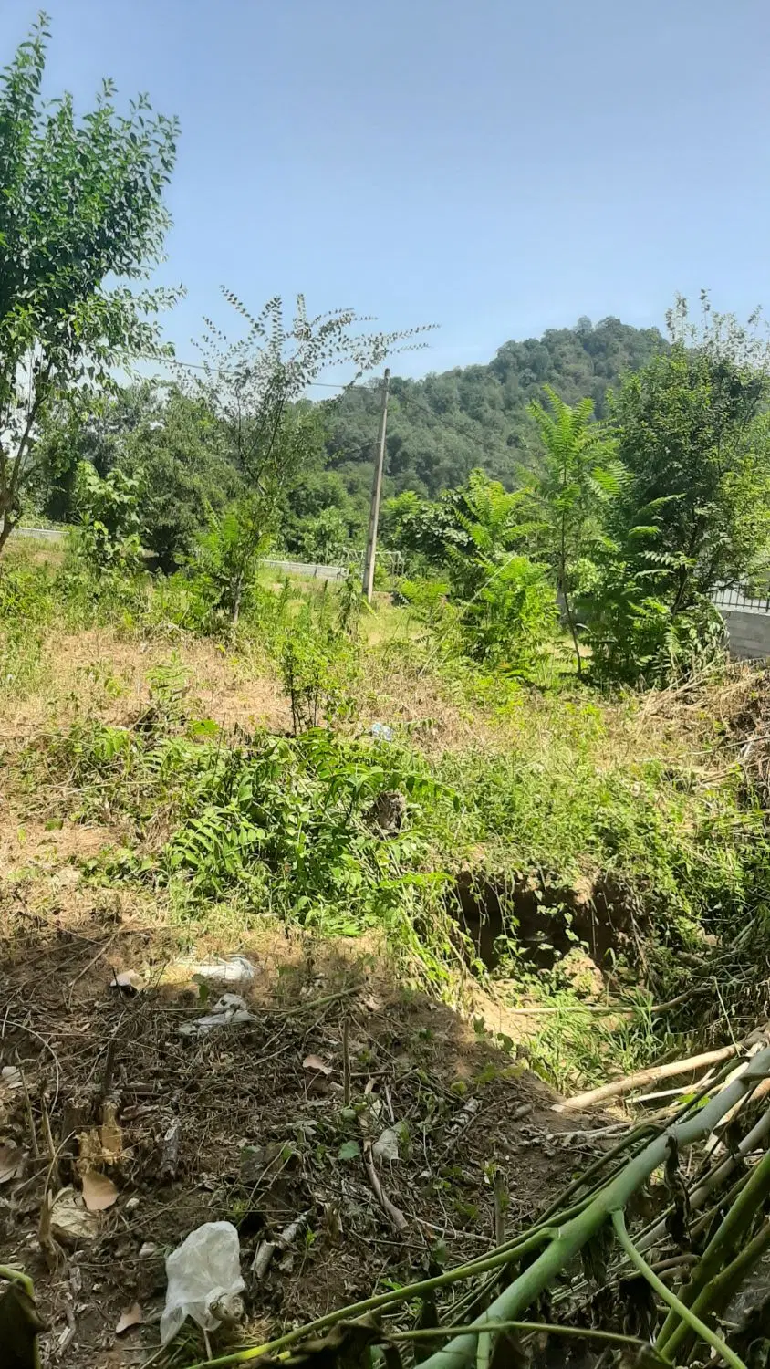 ۹۰متر  زمین روستایی