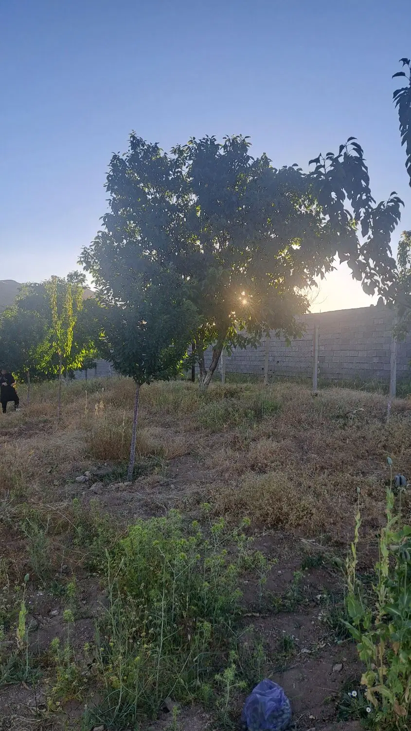 دو قطعه باغ