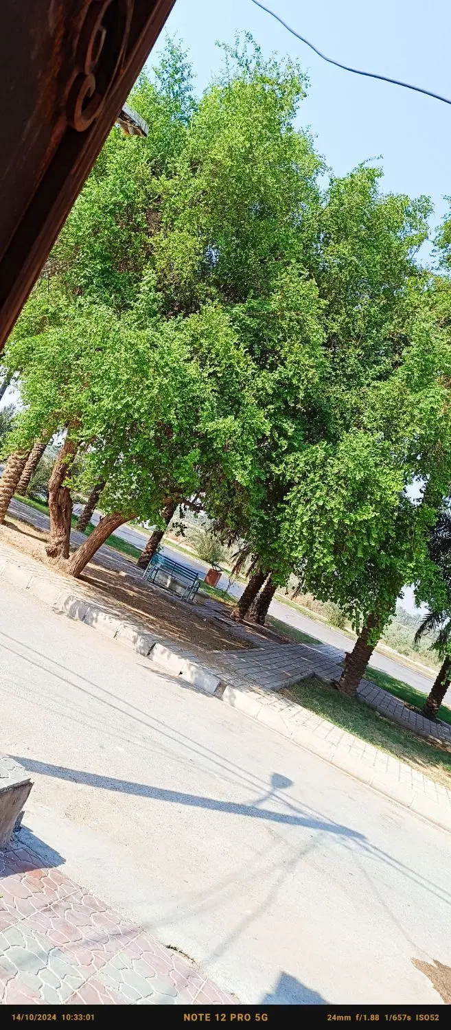 هادیاباد
