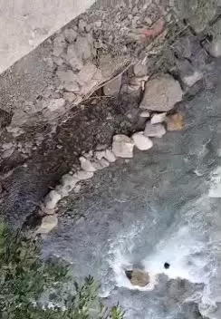 باغ در جاده چالوس آسارا روستای حسنکدر