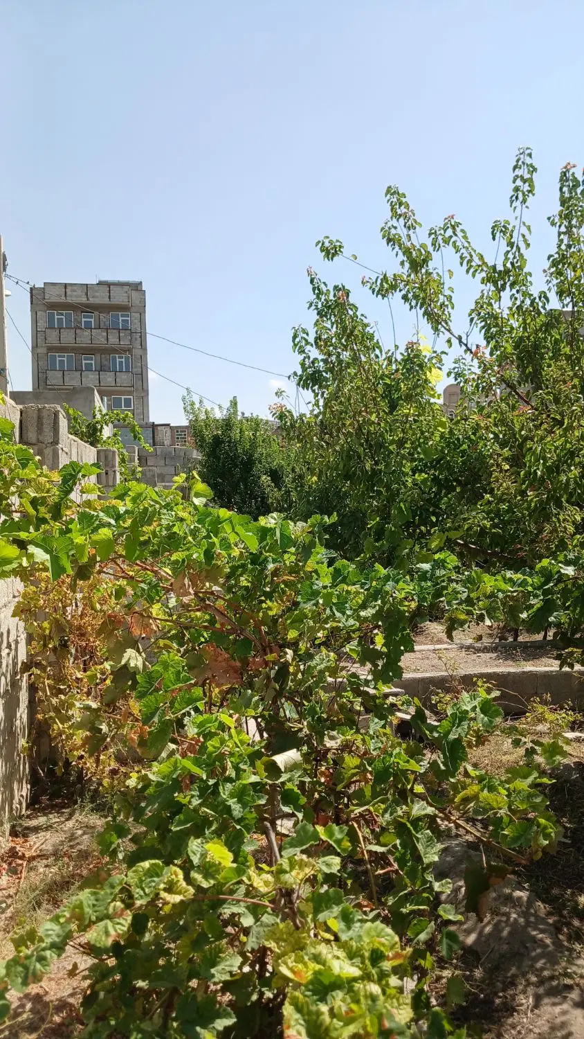 فروش باغچه با خونه باغ زمین مسکونی در سردرود
