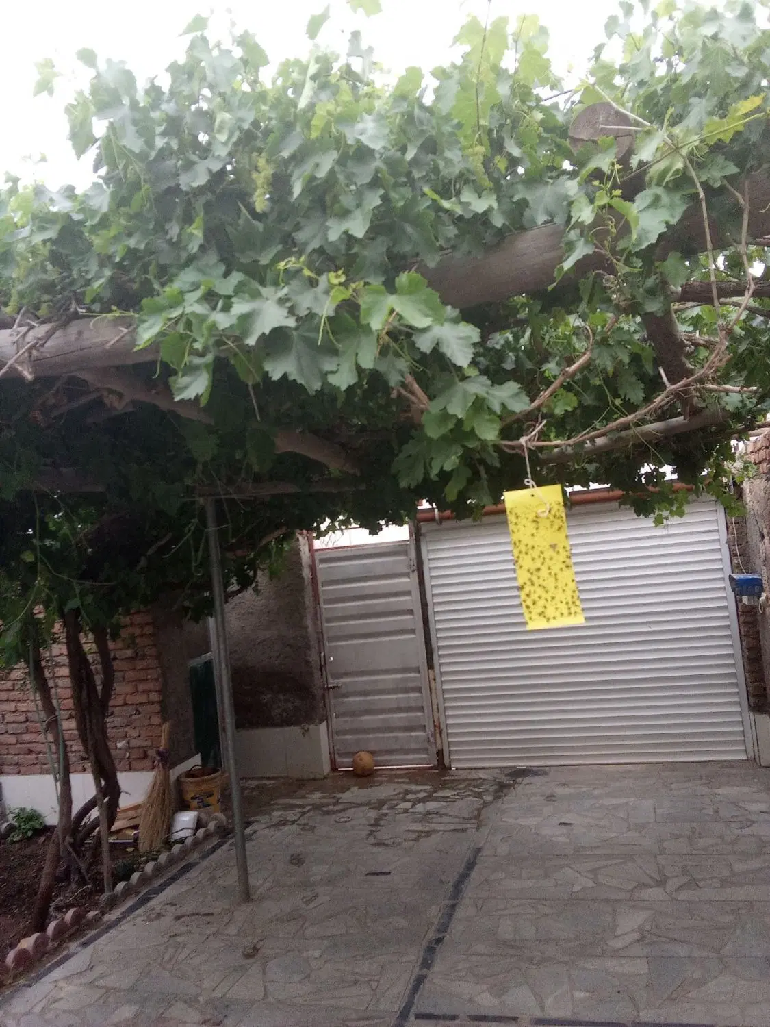خانه ویلایی  دوکله