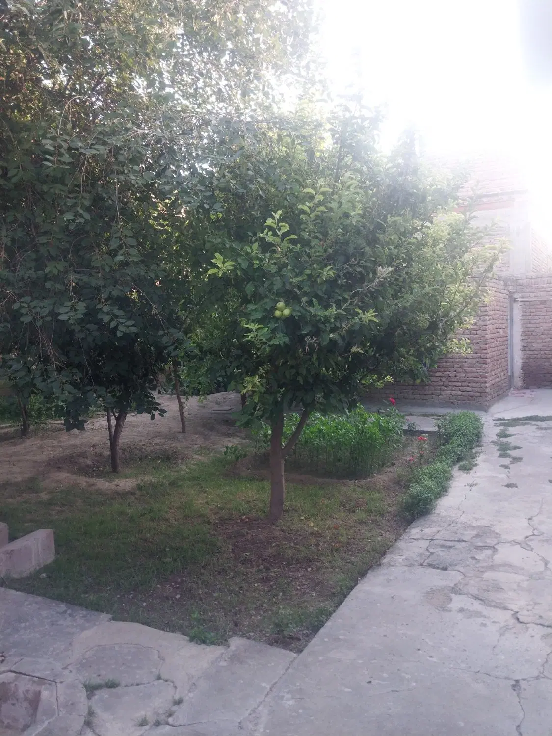 خانه ساورا