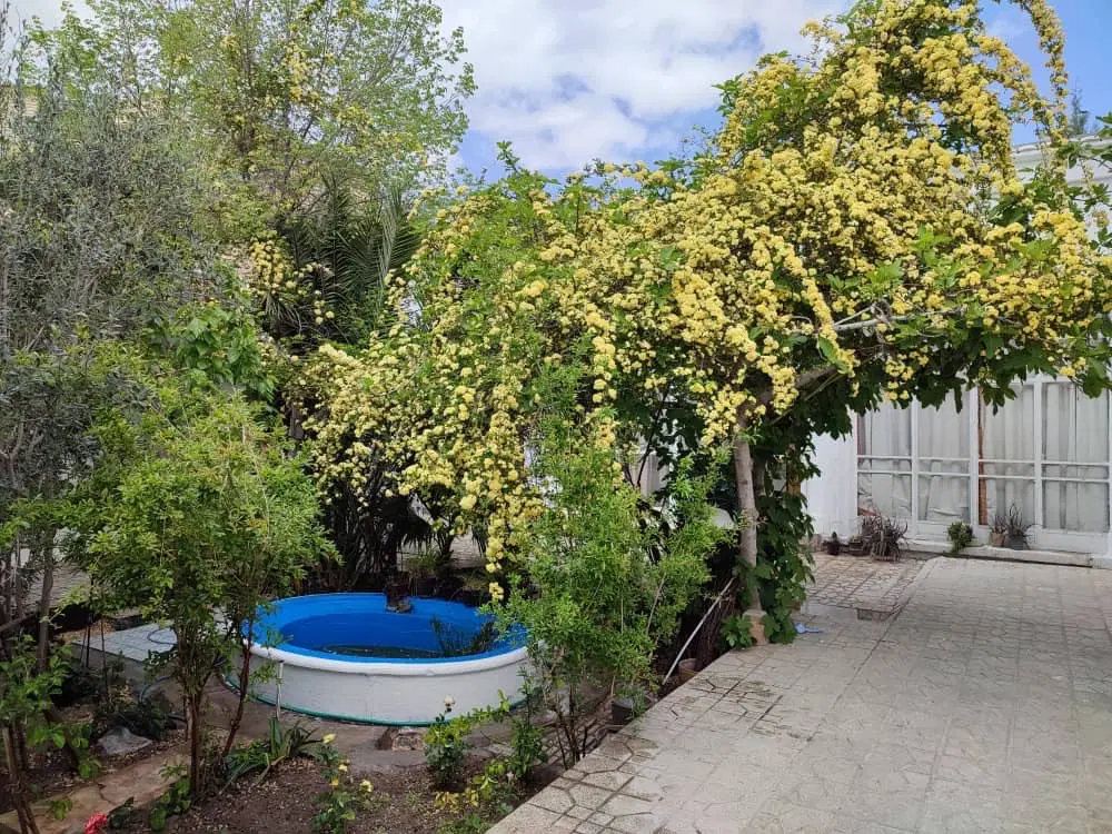 فرصتی که به‌ندرت در نقش جهان اصفهان تکرار می‌شود