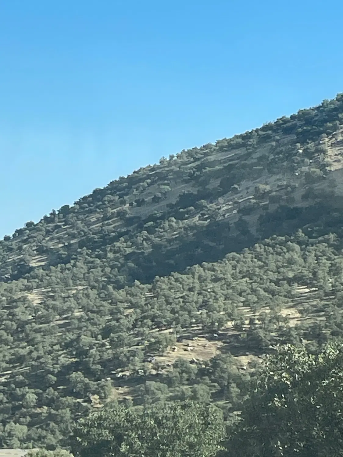 زمین ۸۶ متر نگارستان یک