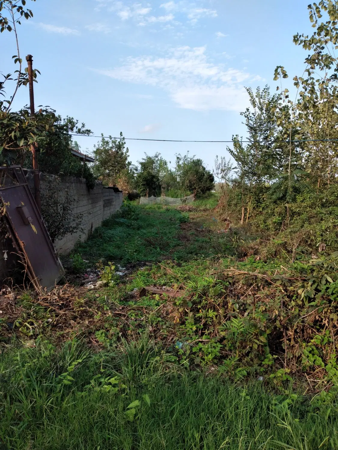 زمین مسکونی