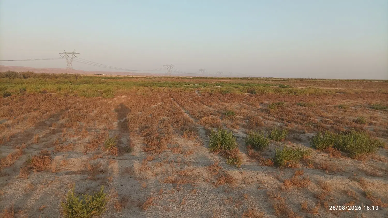 اجاره زمین کشاورزی آبی