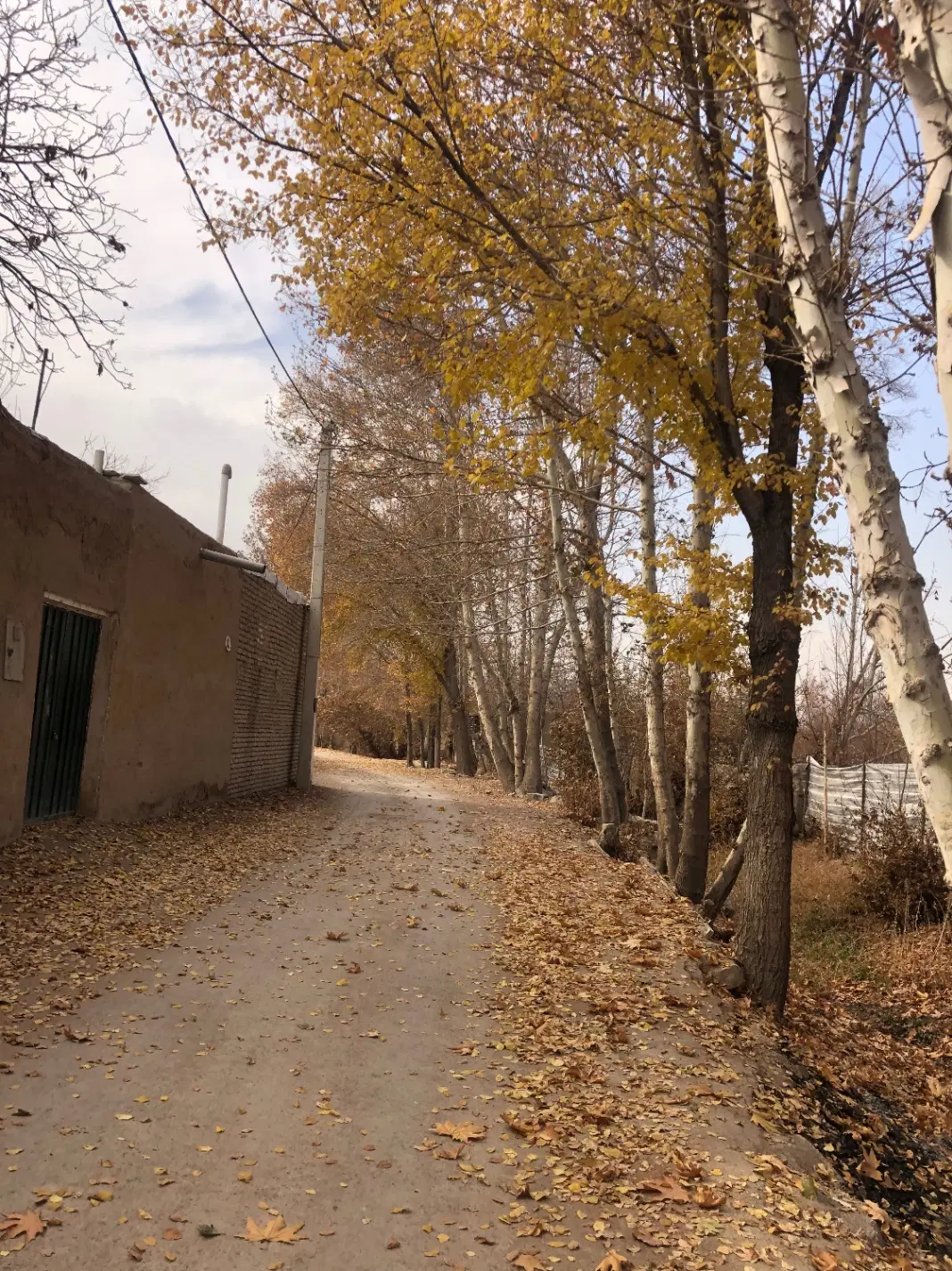 کلنگی خیابان سروش