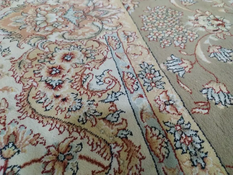 همخونه