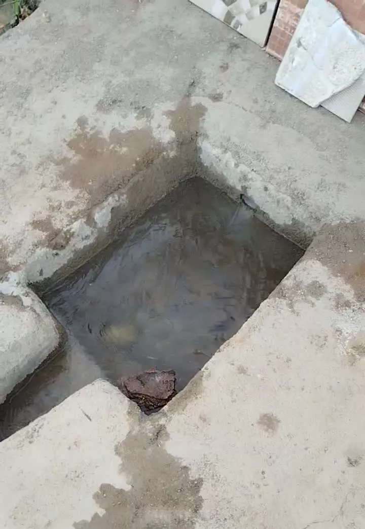 باغ فنس کشی شده