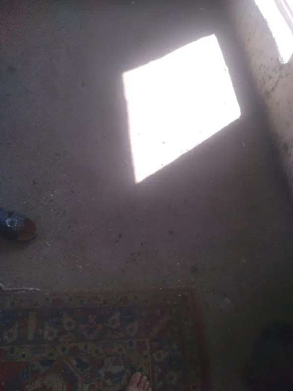 زیر زمینی  ب متراژ ۳۰۰متر رهن و اجاره داده میشود
