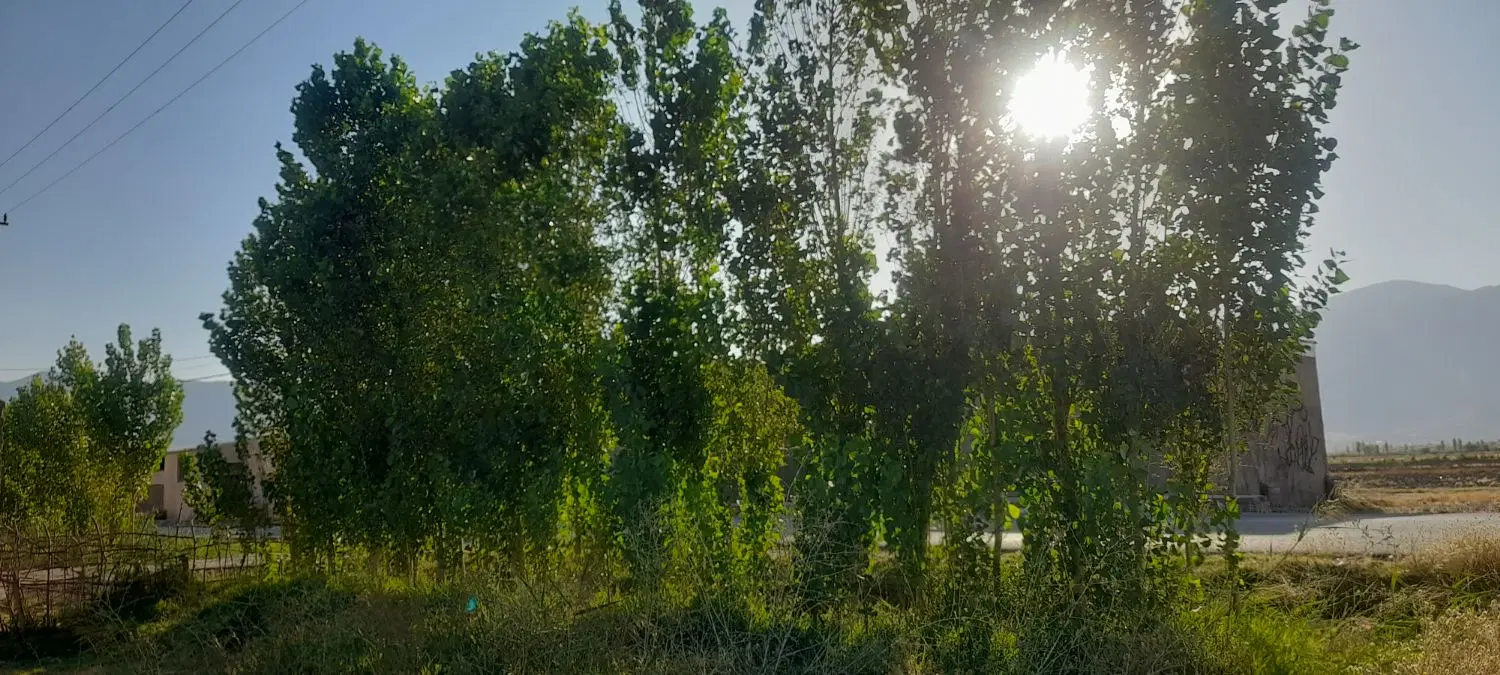زمین مسکونی وتجاری باوام مسکن