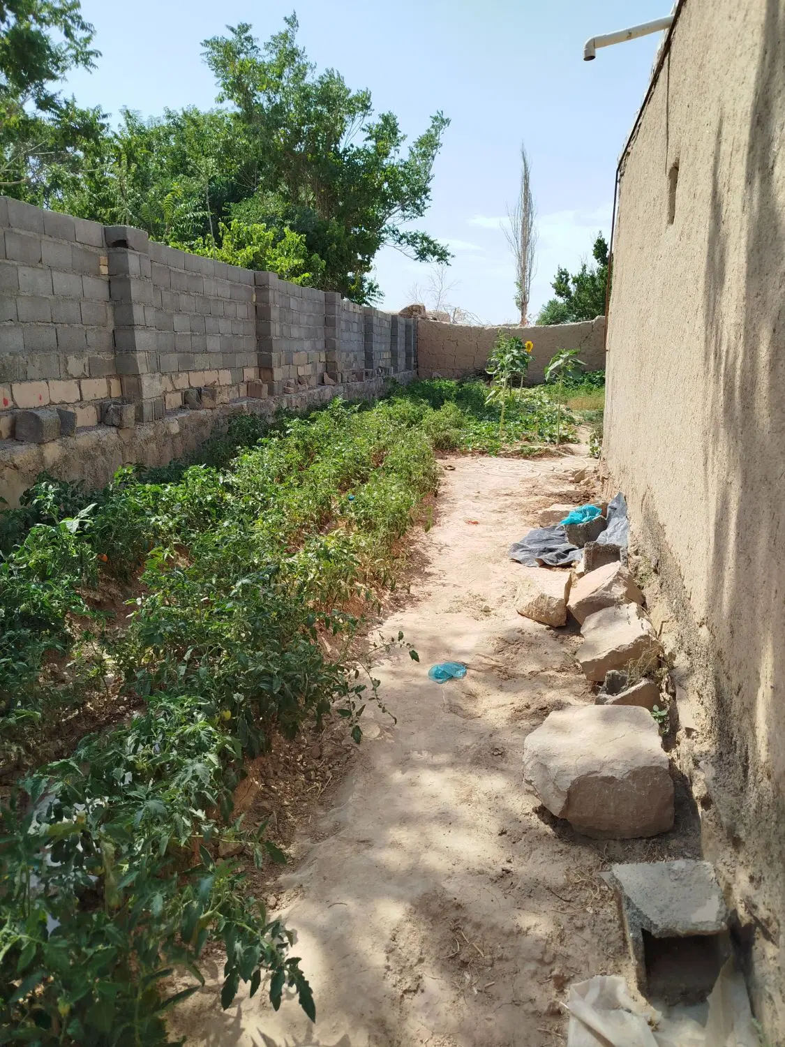 خونه ویلایی