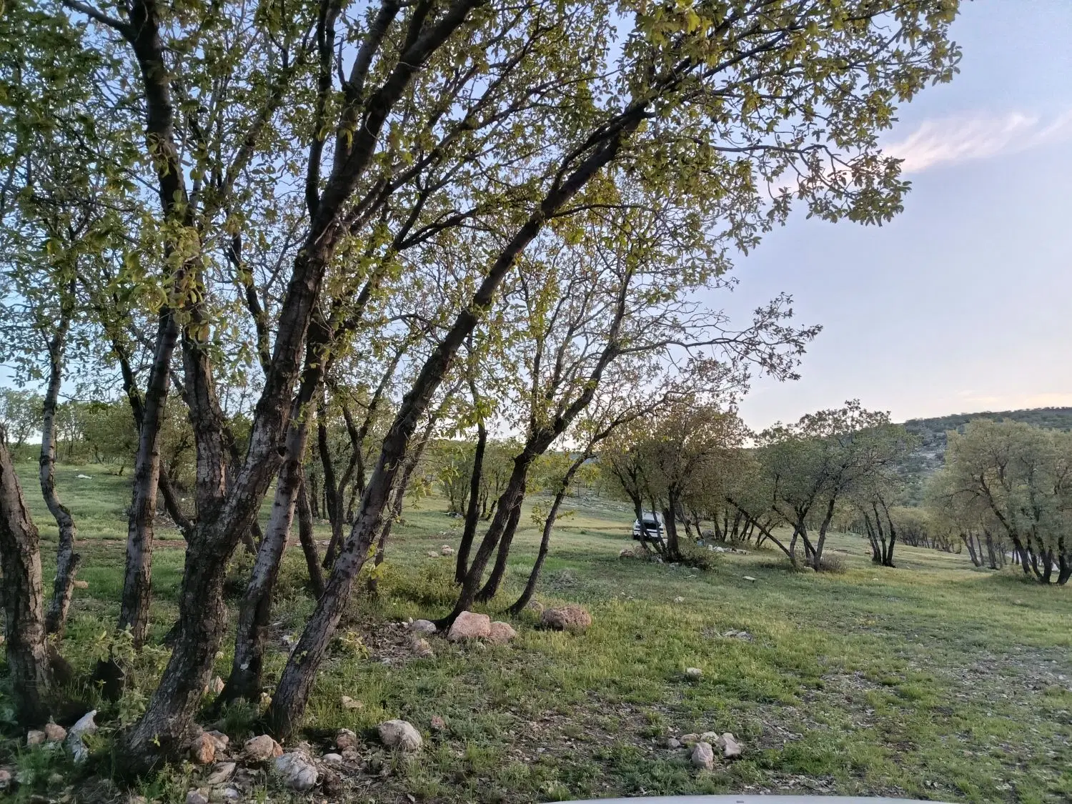 زمین مسکونی