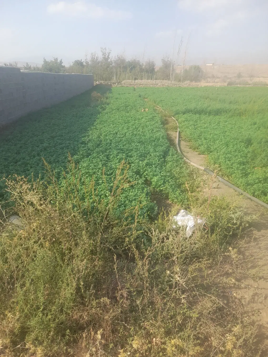 فروش ۵۰۰مترزمین برای ساخت ویلا