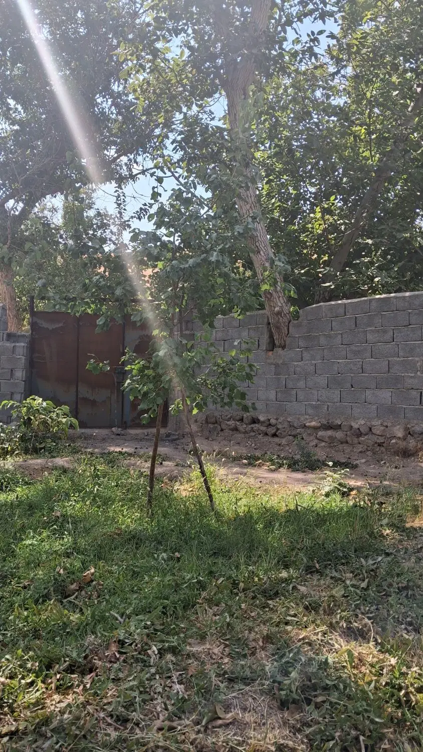 باغچه دراسکو