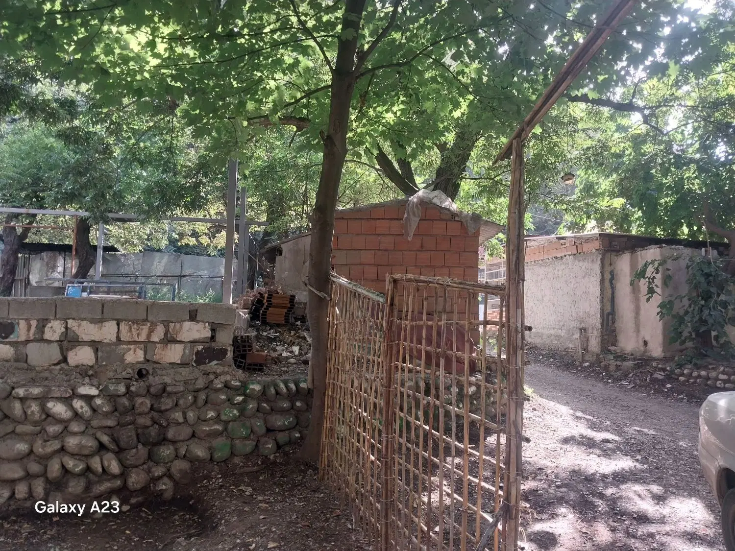 کافه