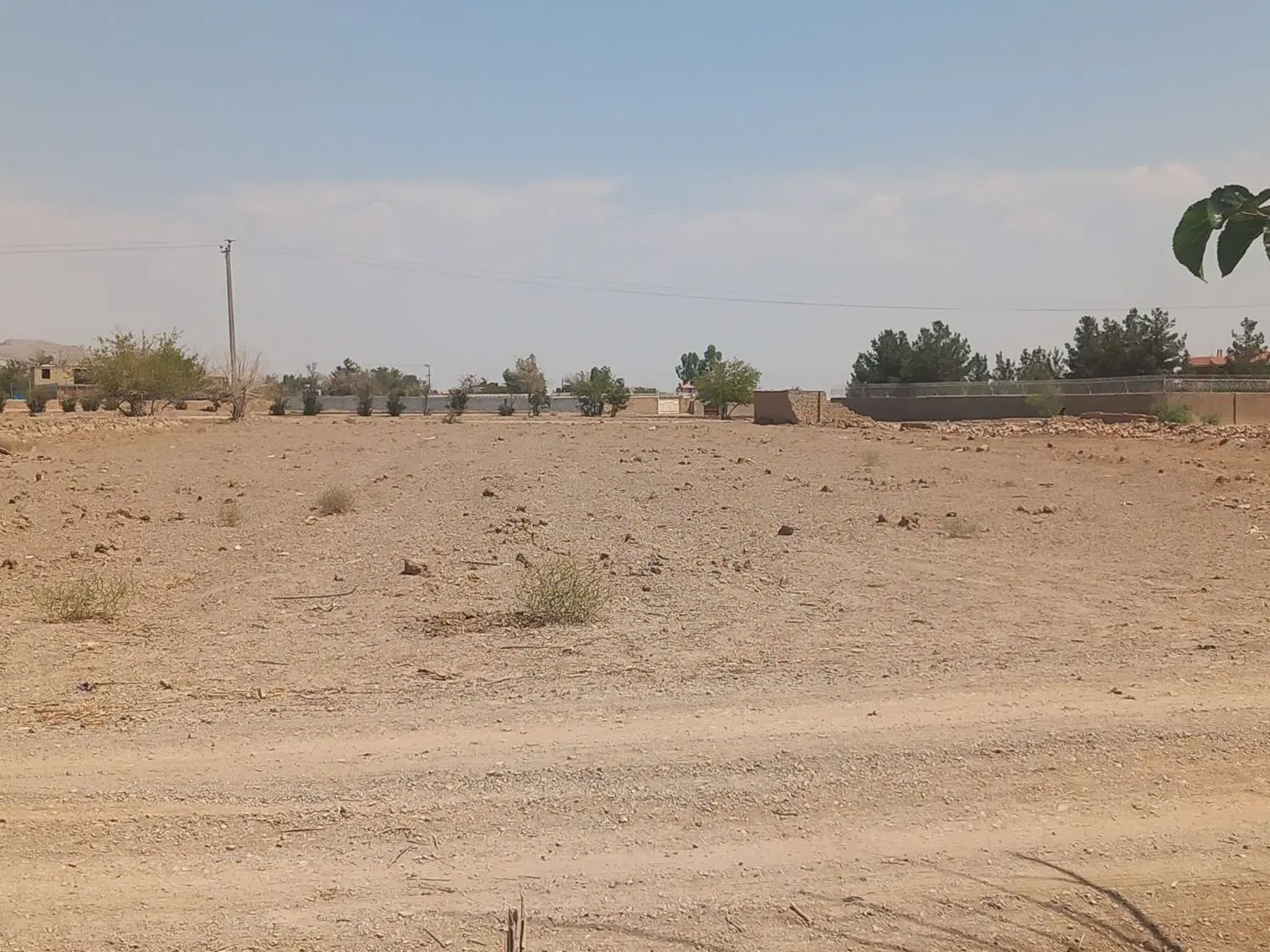زمین کشاورزی