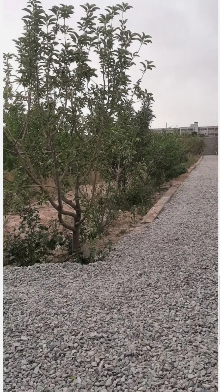 باغچه ۳۴۰متری سند داد