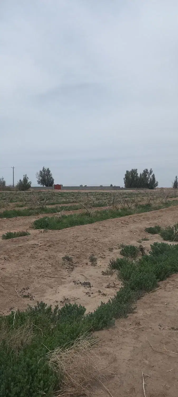 زمین فاز دوم نیرودریایی-چمران