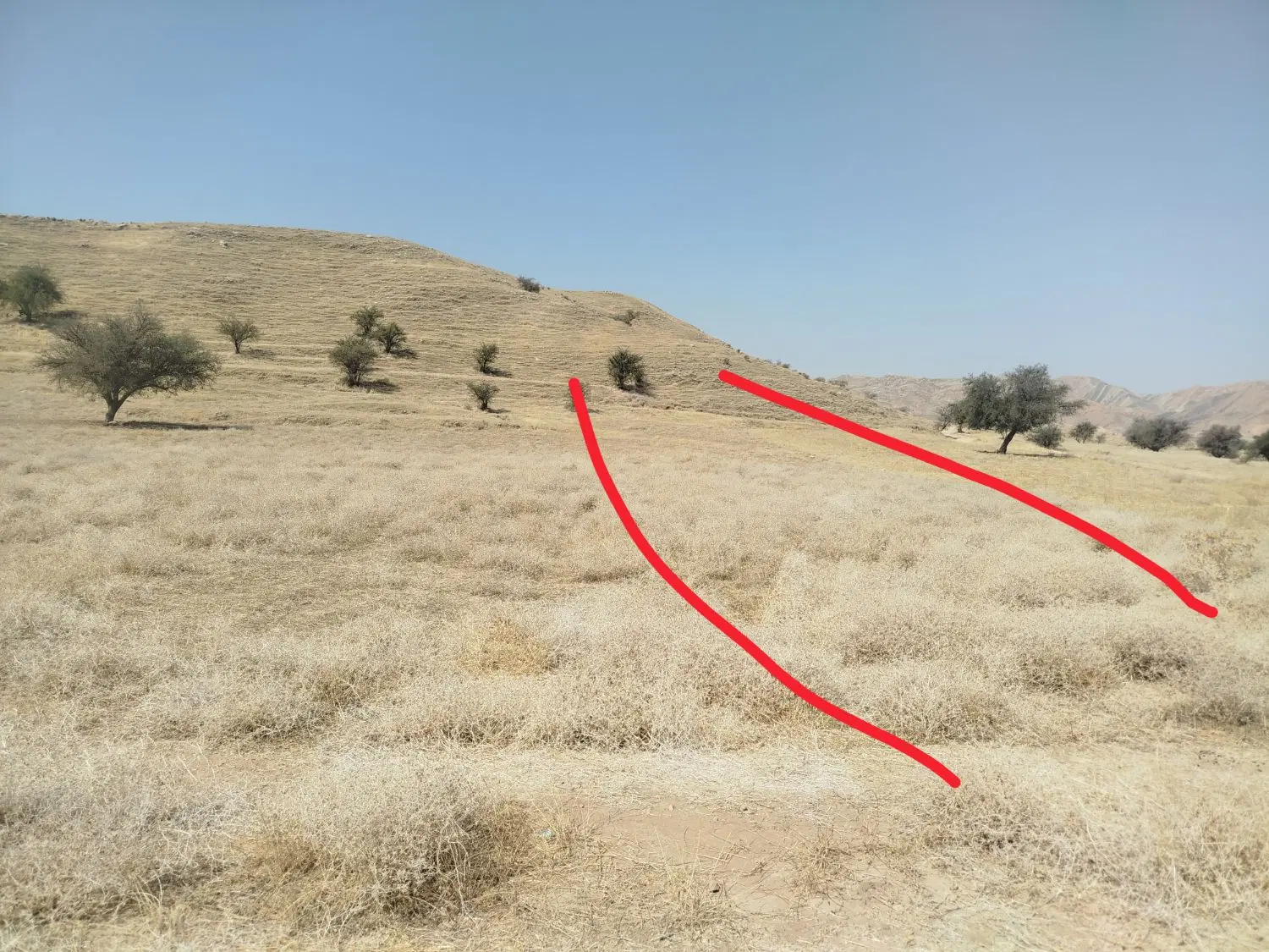 زمین