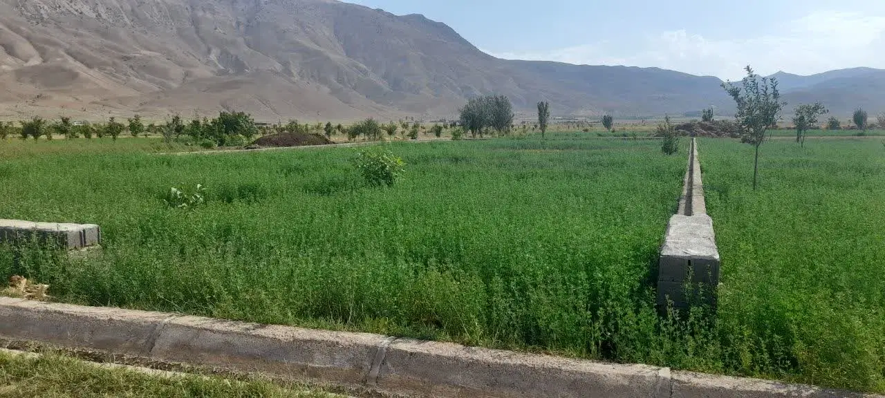 زمین فولاد محله