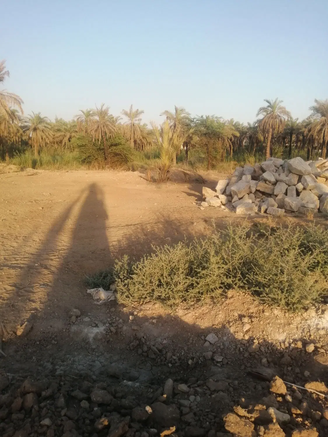زمین مسکونی