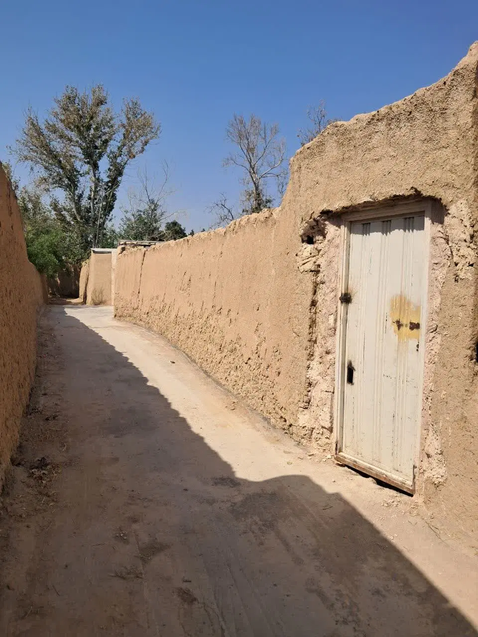 باغ فروشی