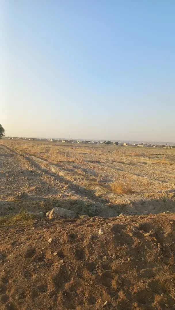 زمین  کشاورزی  جاده اصلی