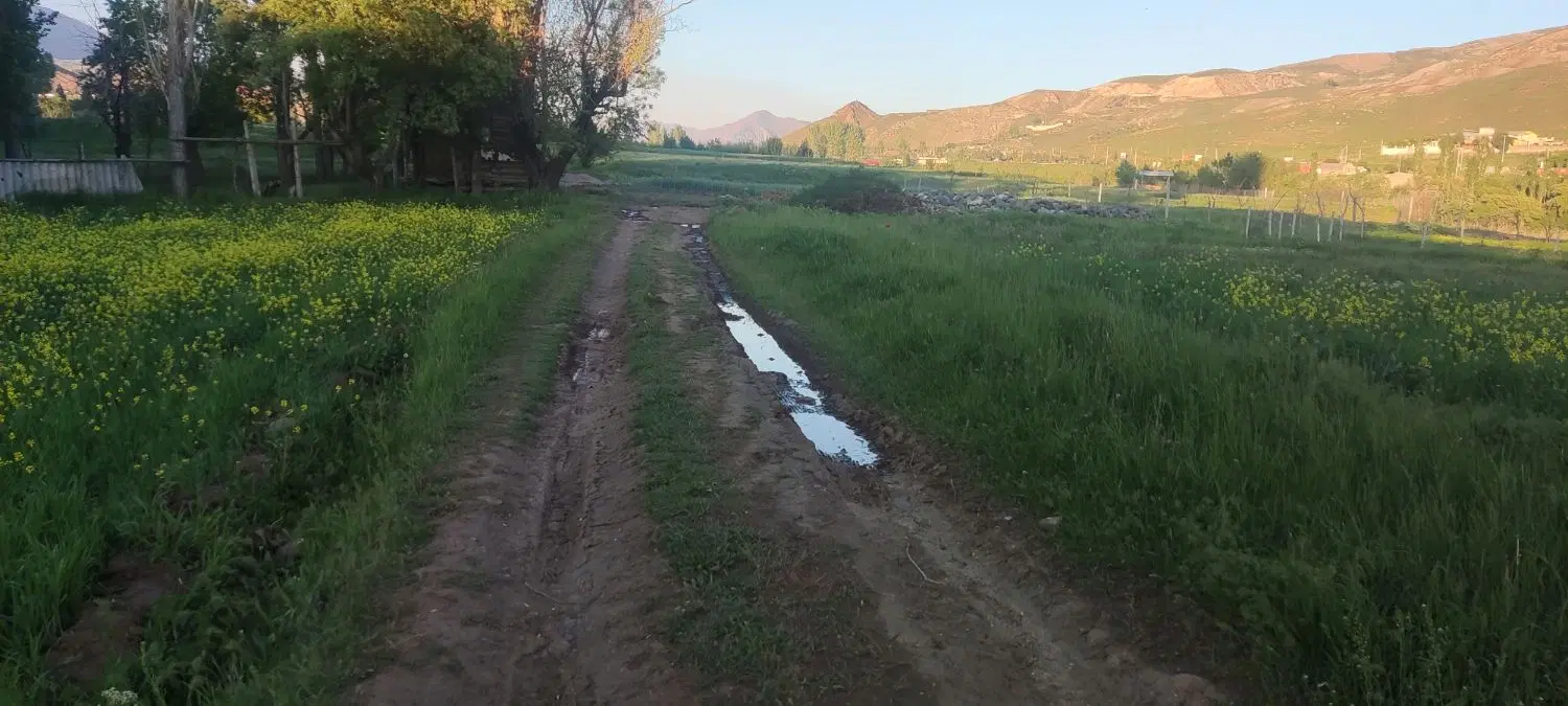 فروش زمین در طالقان