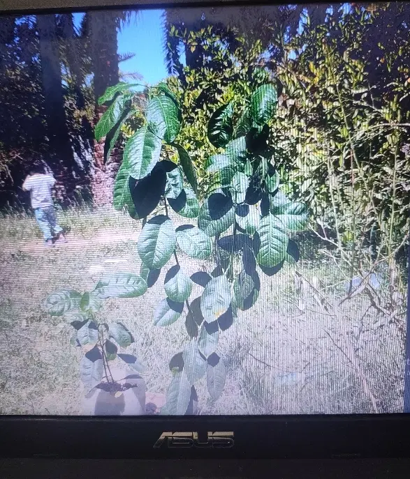 خانه باغ فروشی در اندوهجرد
