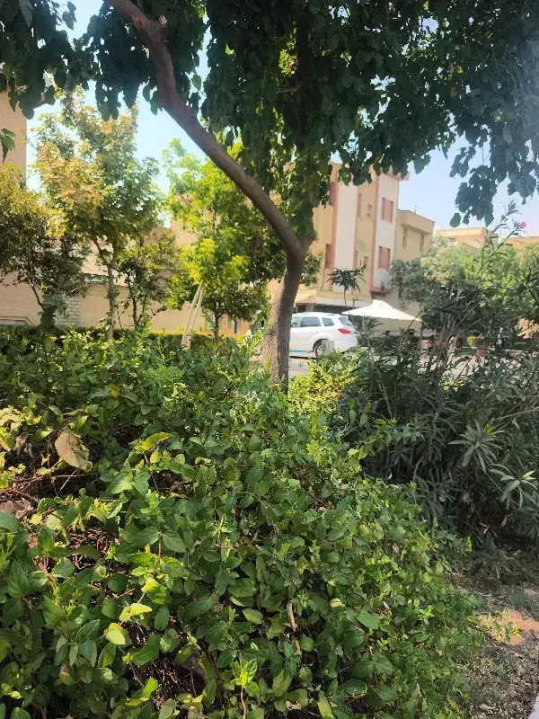 تجاری بر پاسارگاد شرقی ۴۰متر