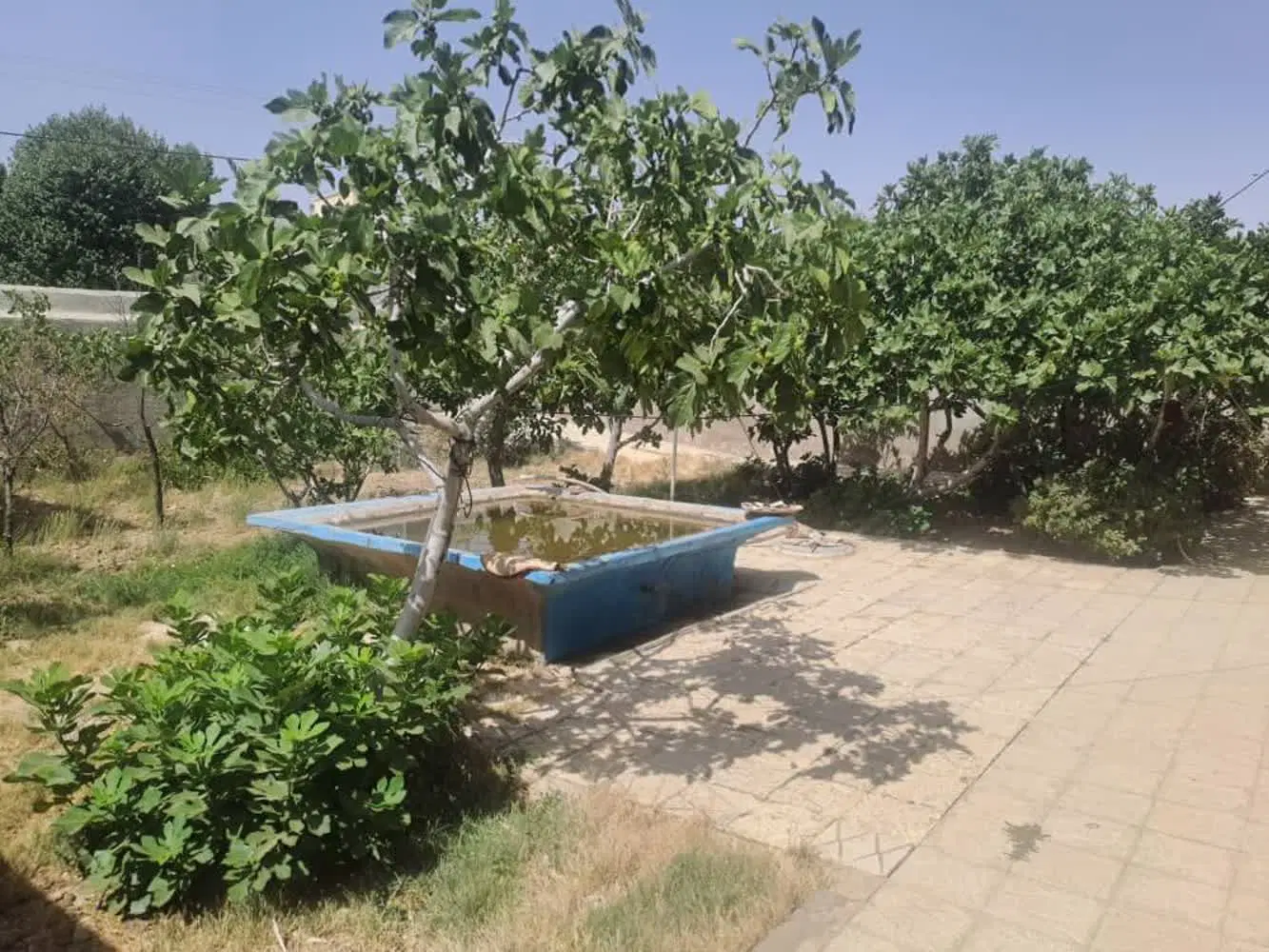 فروش خانه ویلایی گلنگی