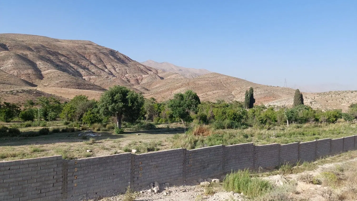 زمین باغ شهری