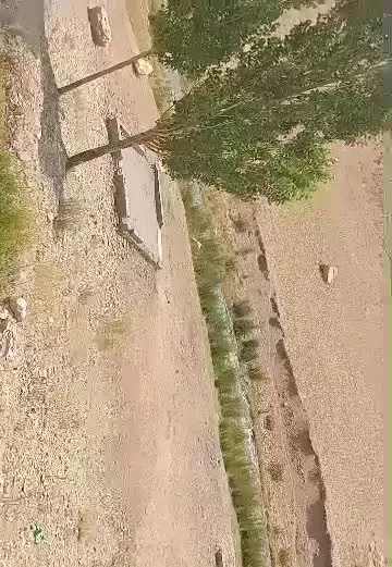فروش باغ