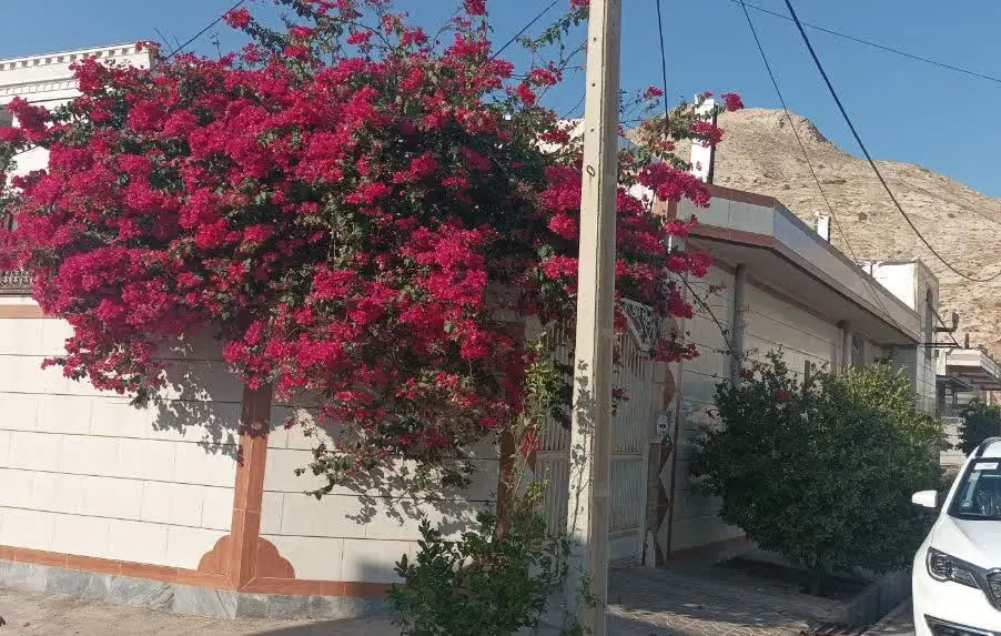 اجاره خانه ویلایی  همکف