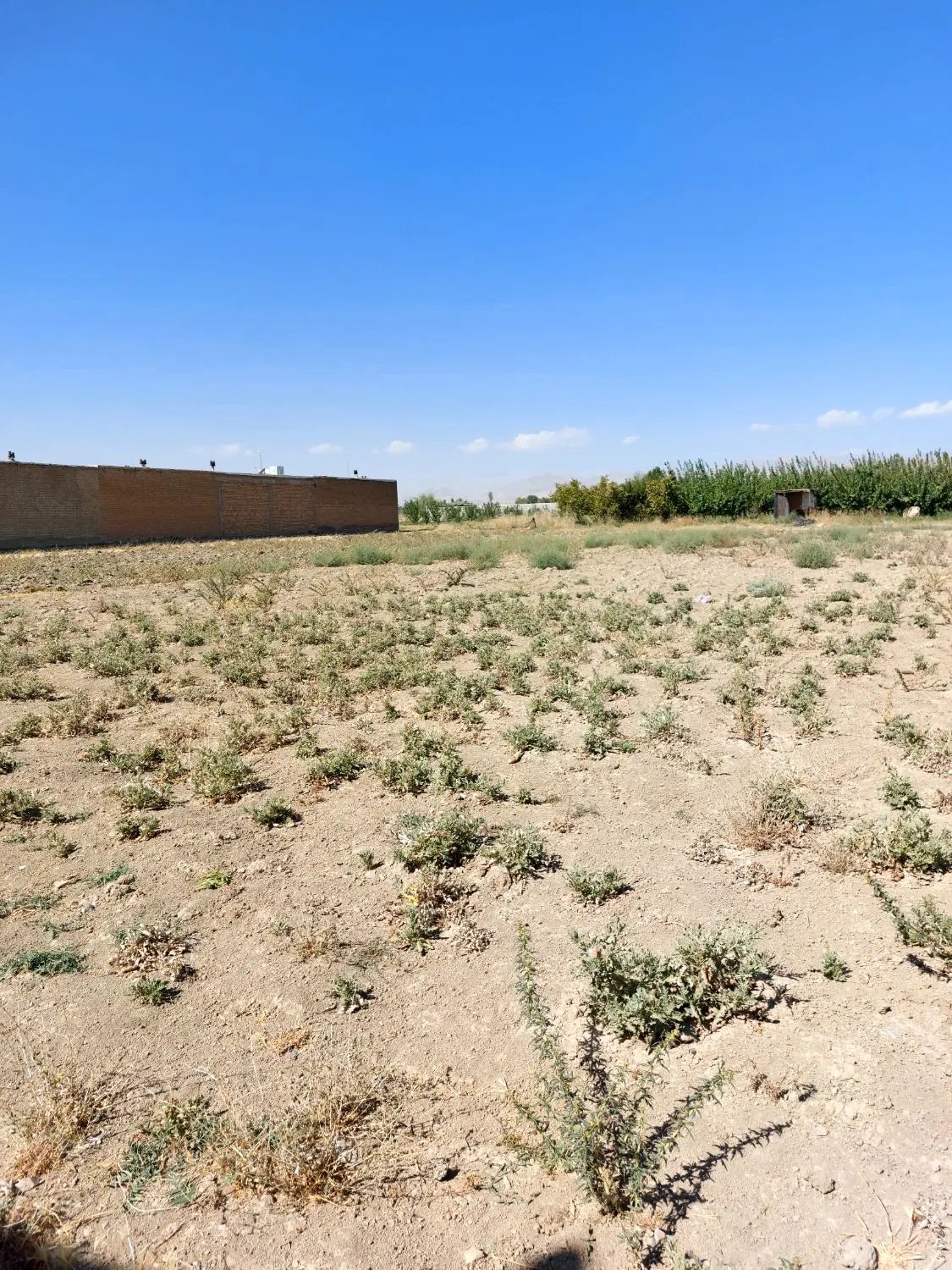 فروش زمین داخل محدوده حمزه کندی