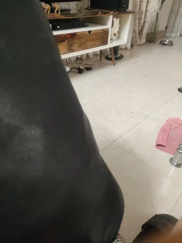 اجاره