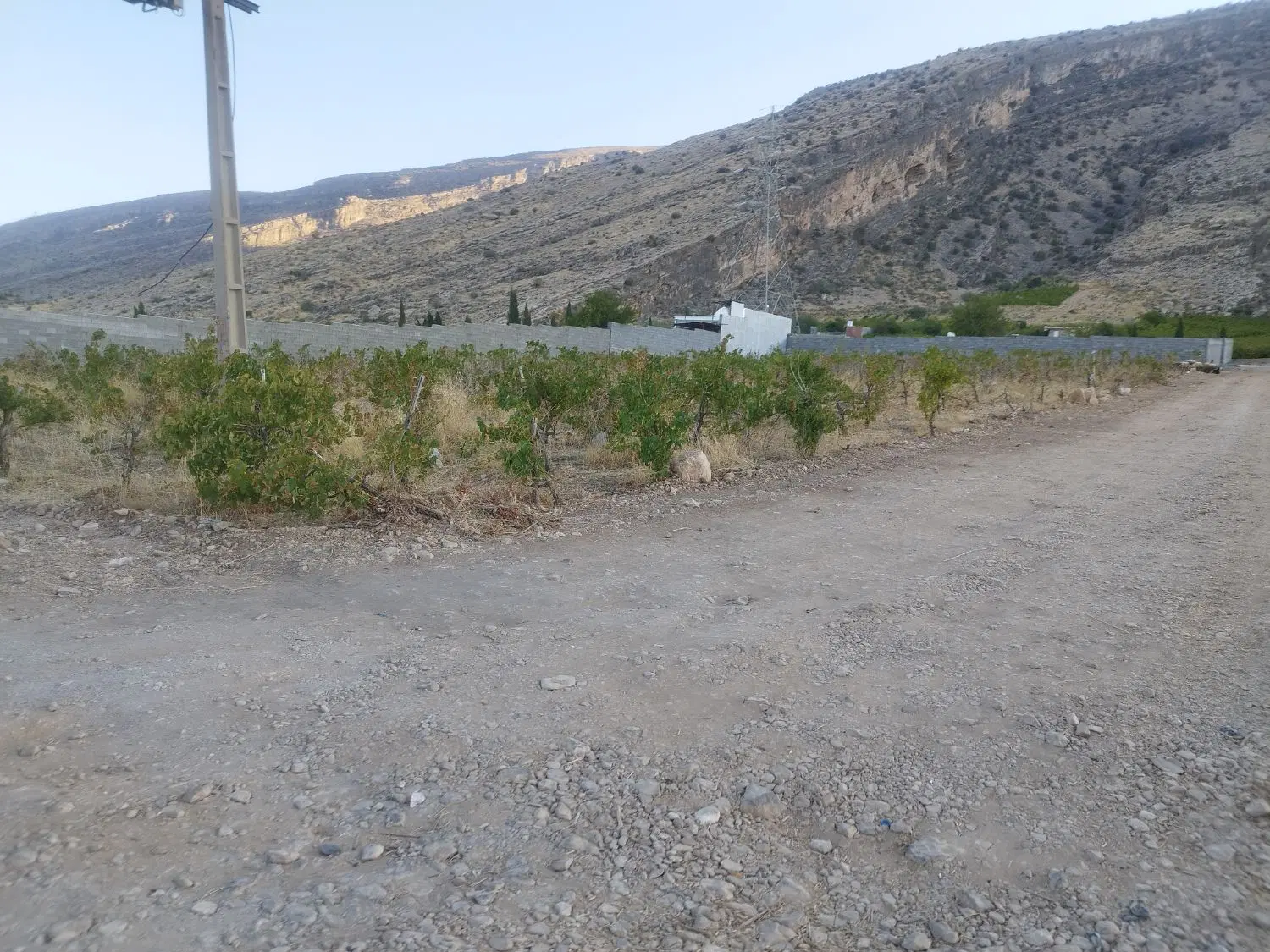 زمین باغی