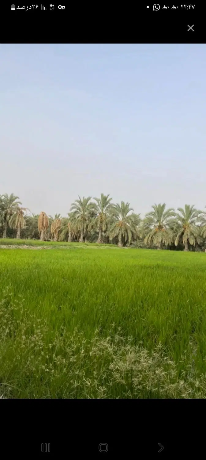 متور اب زمین کشاورزی
