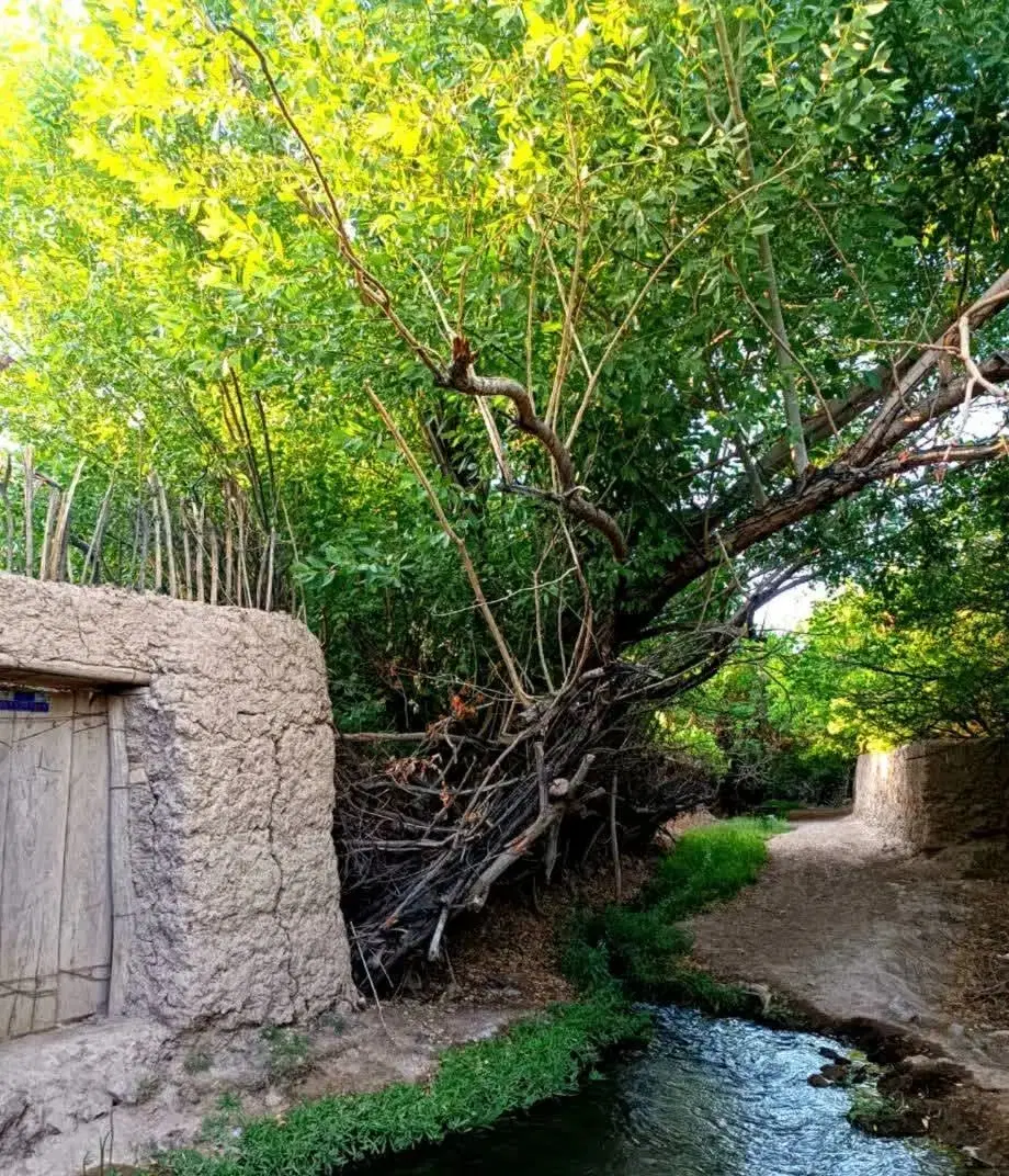 زمین ویلایی گلباف