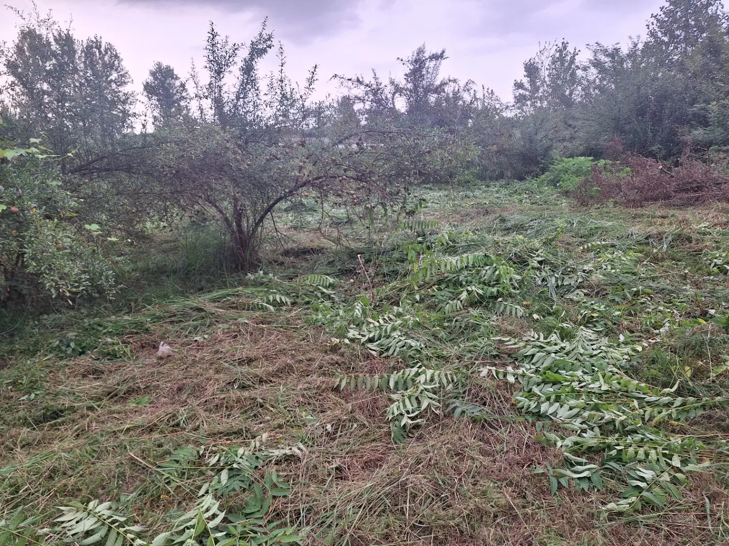 ۷۰۰متر زمین مسکونی