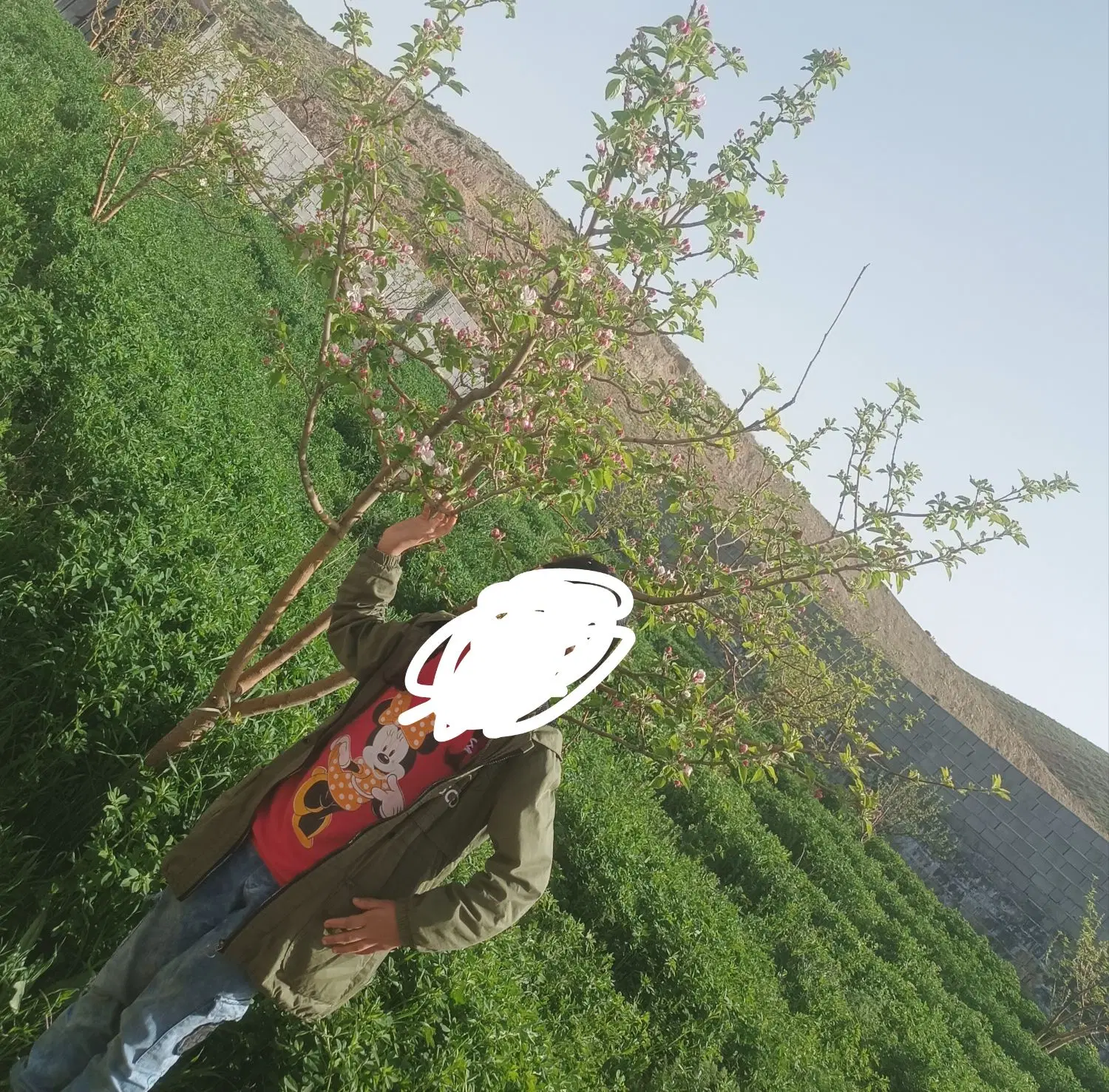 فروش باغ