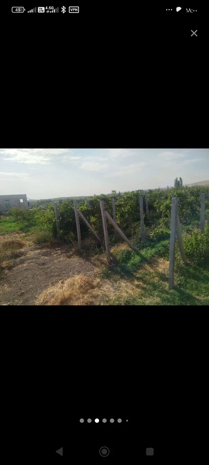 باغ و باغچه